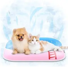 Item thumbnail for item 7444b875-4911-4b3f-a2c5-b79a2d5aad6c