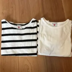 キャサリンコテージ　Tシャツ　2枚セット　120㎝