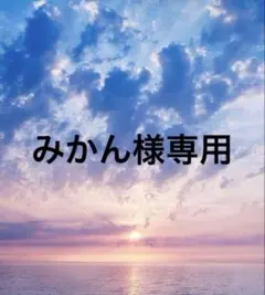 みかん様専用ページ