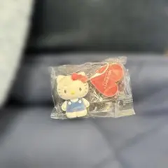 サンリオハウス フロッキー フィギュア キティ