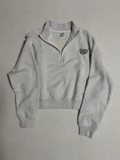 Reebok ハーフジップ スウェット グレー