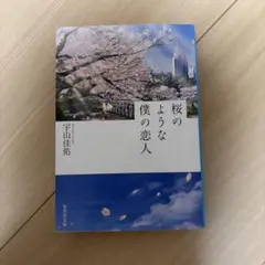 桜のような僕の恋人