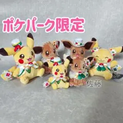 ポケパークカントー限定 ぬいぐるみ ピカチュウ イーブイ 4体