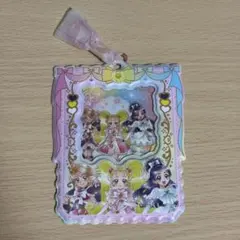 プリキュア カードホルダー Max Heart