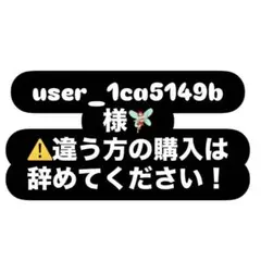 【user_1ca5149b様】
