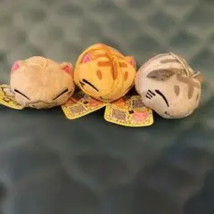 ねむネコ　3匹のサムネイル