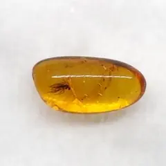 美品 虫入り 琥珀 化石 本物 バルト海産 ケース付 10.97mm ab254