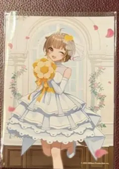 kit様　専用ページ