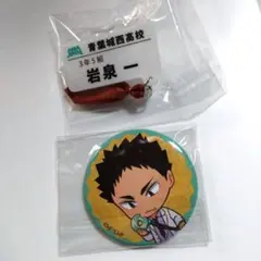 ハイキュー　岩泉一　まとめ売り チャーム付きネームバッジコレクション 缶バッジ