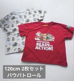 る*ー様 120cm パウ・パトロール Tシャツ 2枚セット