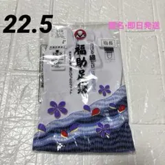 Item thumbnail for item e19ebff4-ce7f-4426-8f9b-ed935506ad37