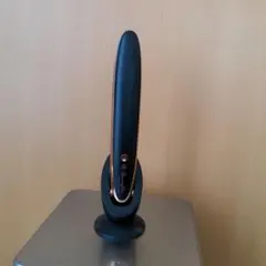 ブラック ストレートヘアアイロン