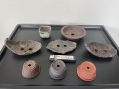 盆栽鉢　秀峰、山秋、一蒼、中国宣興鉢8個セットのサムネイル