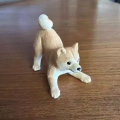 miniature planet 柴犬 Shiba Inuのサムネイル