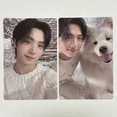 2025年最新】YOUNGJAEの人気アイテム - メルカリ