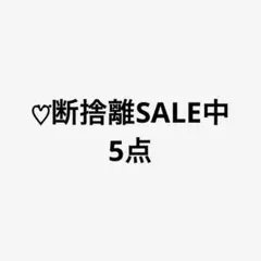 ♡⃛断捨離SALE中様