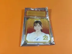 Item thumbnail for item 8fe5fb03-30e0-404c-a1be-fe6afc6ee71e