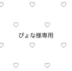 ぴょな様専用