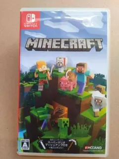 ☆ジャンク☆ Minecraft Nintendo Switch マイクラ