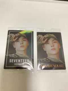 seventeen ウエハース　バーノン