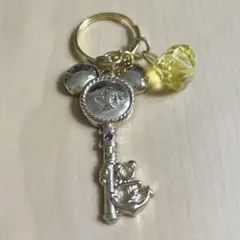 ディズニー パイレーツサマー2017 キーチャーム ドナルド