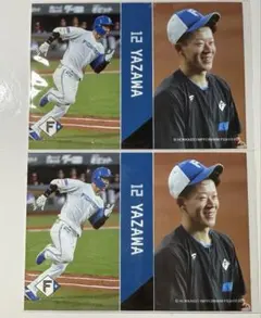 チョッパーマン様 リクエスト 2点 まとめ商品