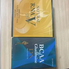RNA V & BCAA & Glutamine DX セット2箱 - メルカリ