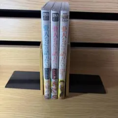 Item thumbnail for item 419a8076-4cc4-4144-b5ef-3d0807261304