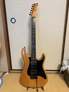 Valleyarts Mシリーズ初期型日本製バーズアイネックディマジオ