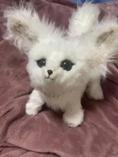 マルチーズ ポメチワ ぬいぐるみ - メルカリ