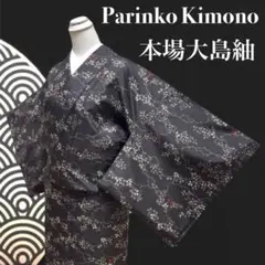 ✨ 【超美品】本場大島紬 7マルキ 身丈163 裄67 雲取り 枝葉 絹 526