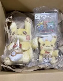 ポケモン 30周年記念 ピカピカ！ピカチュウ ぬいぐるみセット　アクリルブロック