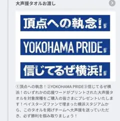 横浜 ベイスターズ 大声援 タオル タオルマフラー 信じてるぜ横浜 ②