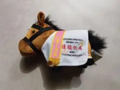 サラブレッドコレクション 馬服コスチューム リバティアイランド ぬいぐるみ