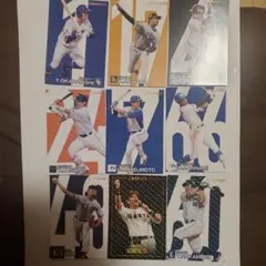 Item thumbnail for item 6ce9a366-9209-4c2f-8790-ef747c175a13