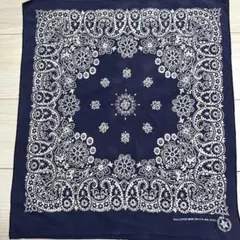 Item thumbnail for item 04b527ef-5f09-4a98-9e73-168fc9153d87