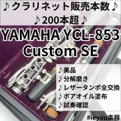 Item thumbnail for item 2e89a937-e015-46e0-a46d-17991602d2e3