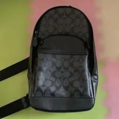 新品未開封】LeSportsac VANITY SHOULDER BAG - メルカリ