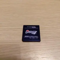 ポケットモンスター ブラック DSソフト