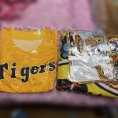 清水エスパルス タオルブランケットステッカー地球儀 記念グッズセット