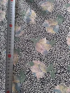 Item thumbnail for item 837343aa-1159-4287-b001-352c3319526c