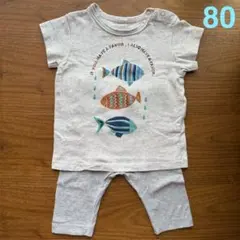 Item thumbnail for item 8d979e7c-8244-43ee-9cb1-7f6405c999cc