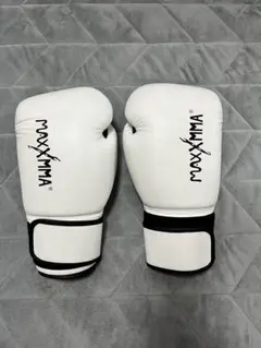 カンペオン　ボクシンググローブ　１２オンス 白 2025年最新】ボクシンググローブ 12オンス 白の人気アイテム - メルカリ