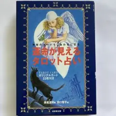 運命が見えるタロット占い : 神秘のカードでしあわせになる　定価¥1500-