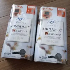 Item thumbnail for item 3c9b48ca-d970-4919-a49d-264b0a9ea31a