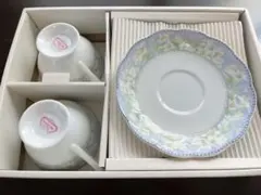 【未使用品】ナルミチャイナ　ティーセット＋デザート皿2枚付