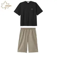 Item thumbnail for item c1de9e6a-eddd-4902-8118-742f529e365a