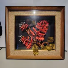 貴重】沖縄のデイゴの花 ・立体額・インテリア - メルカリ