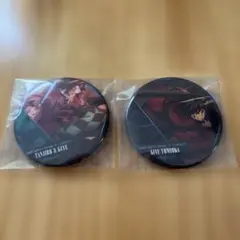 鬼滅の刃 ものがたる背中 ものがたる眼差し 缶バッジ 冨岡義勇 無限城編