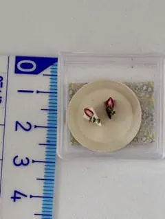 ミニチュアケーキ（チョコレート・ストロベリー）